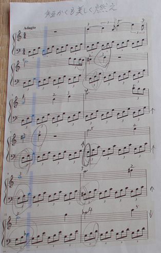 みじかくも美しく燃え・楽譜