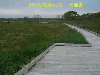 サロベツ資源センター、北海道