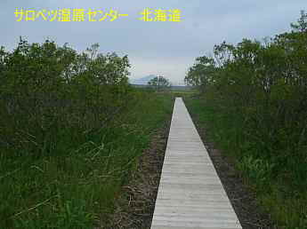 サロベツ湿原センター、遊歩道と利尻島・北海道観光旅行