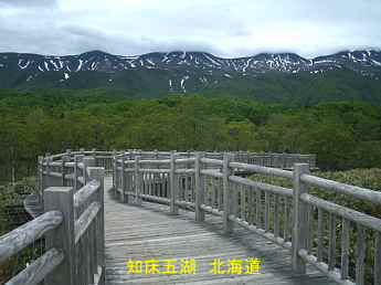 知床五湖・遊歩道、北海道旅行