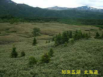 知床五湖、北海道旅行