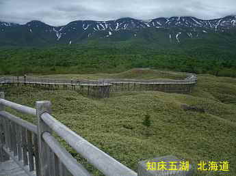 知床五湖・遊歩道、北海道旅行