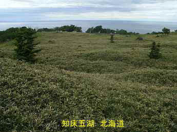 知床五湖、北海道旅行