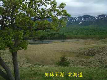 知床五湖、北海道旅行