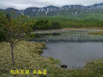 知床五湖、北海道旅行