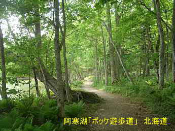 阿寒湖、ポッケ遊歩道、北海道旅行
