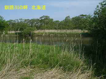 釧路川沿い、北海道旅行