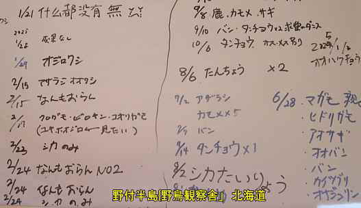 野付半島・野鳥観察舎・ホワイトボード、北海道旅行