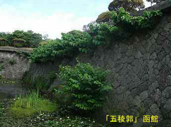 五稜郭、北海道観光