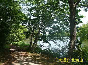 大沼、北海道観光