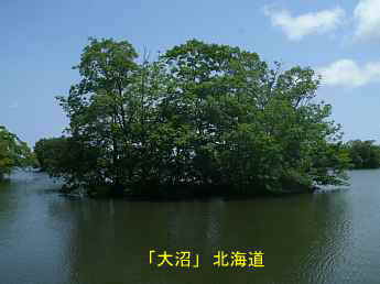 大沼、北海道観光