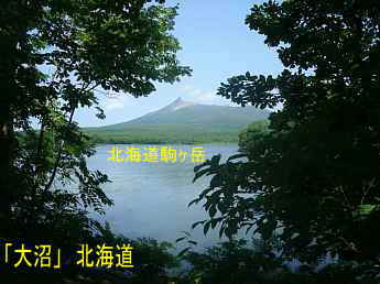 大沼と北海道駒ヶ岳