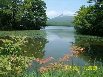 大沼、北海道観光