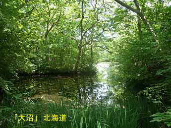 大沼、北海道観光