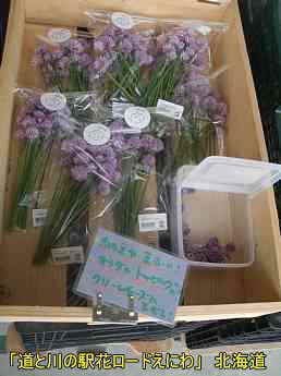 北海道・道の駅「恵庭」／ストリートピアノ