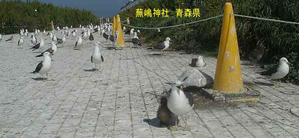 蕪嶋神社、青森県