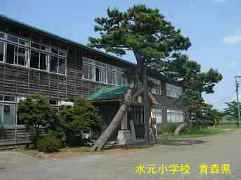 水元小学校・ストリートピアノ、青森県