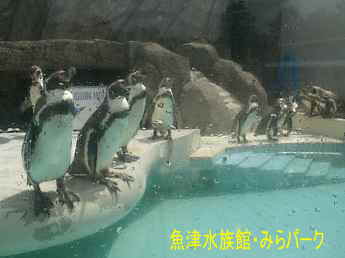 魚津水族館/富山県魚津市・ストリートピアノ